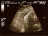 Taken On October26th 2004